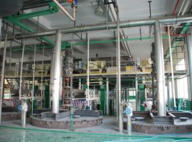 فیکٹری شو (3)