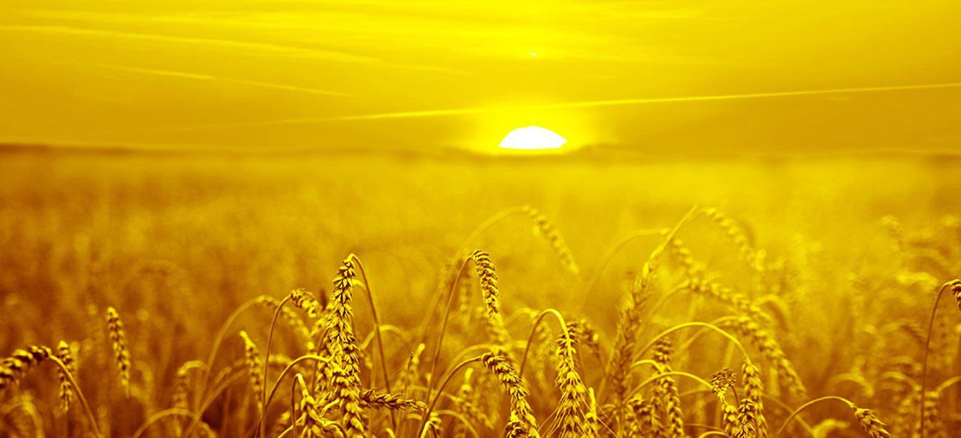 ہم رنگین حل پیش کرتے ہیں